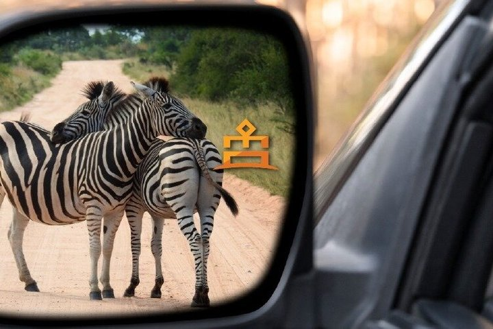 Full Day Pilanesberg Experience in Open Vehicle - Photo 1 of 15
